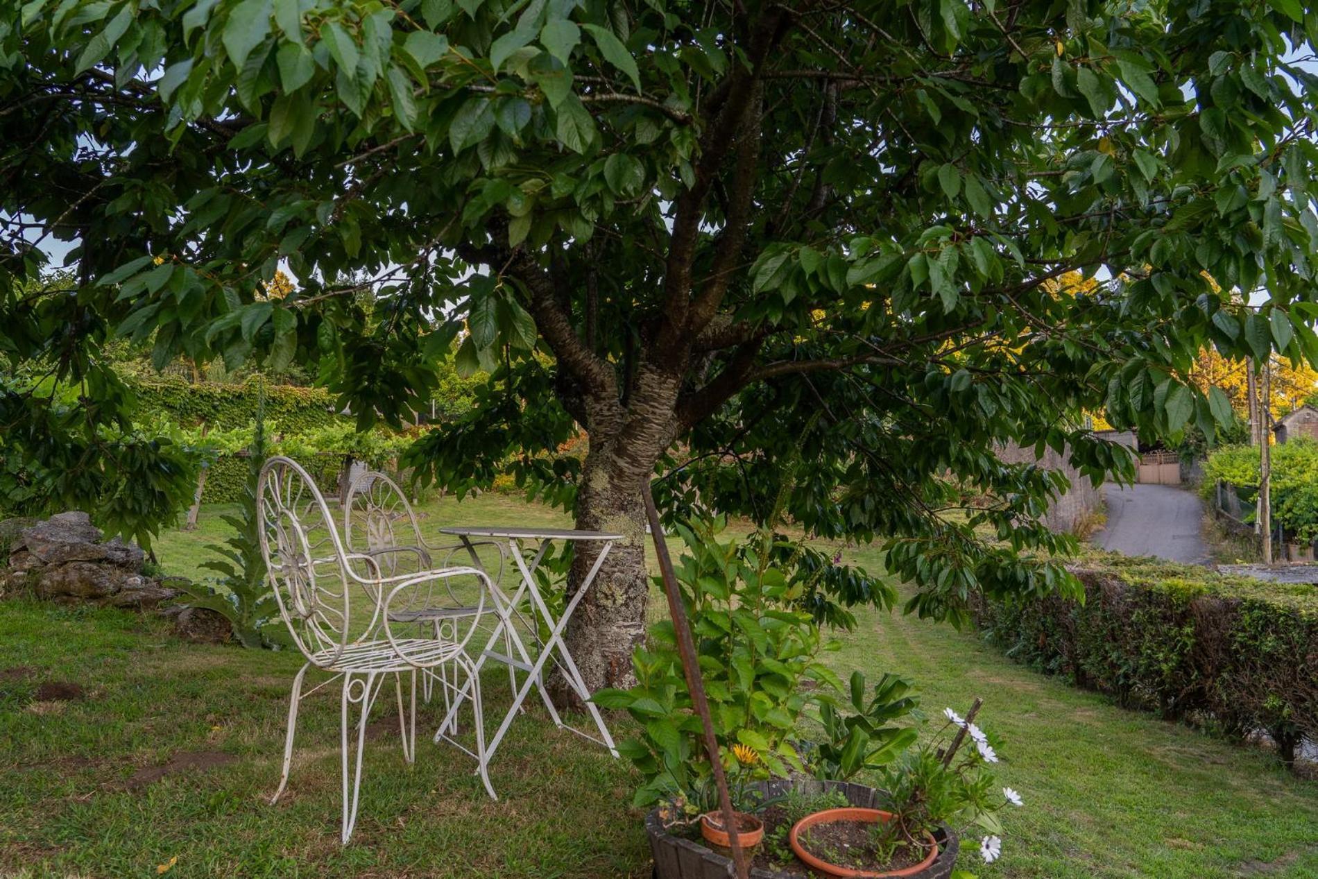 Casa Lameiro レドンデーラ エクステリア 写真
